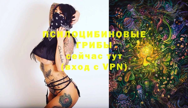 MDMA Premium VHQ Горнозаводск