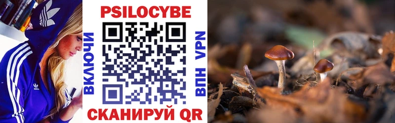купить наркотик Изобильный Псилоцибиновые грибы прущие грибы